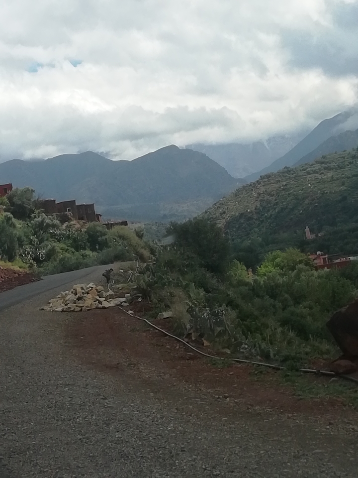 Rural road with mountains in the background.