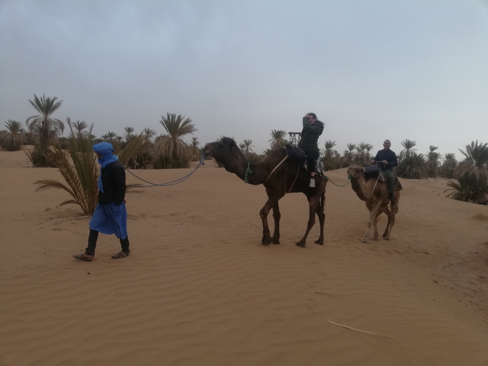 Camel ride through palm-studded desert sands.