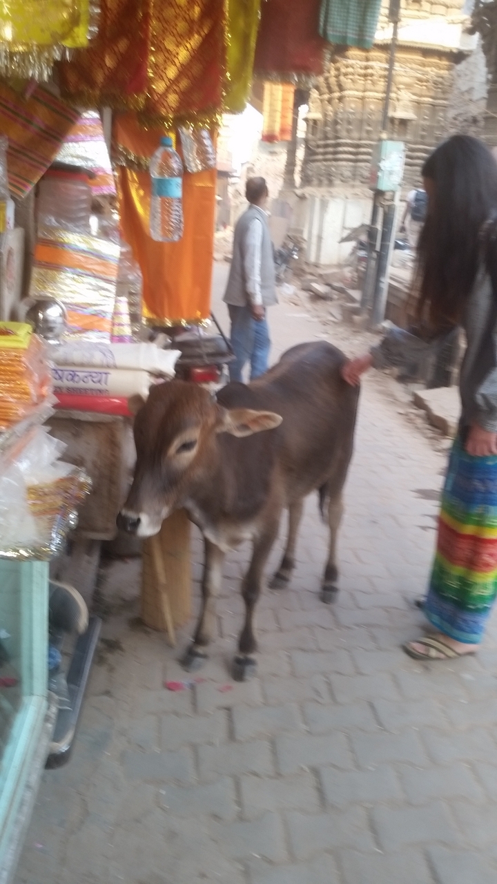 Image floue d'une vache dans un marché de rue.