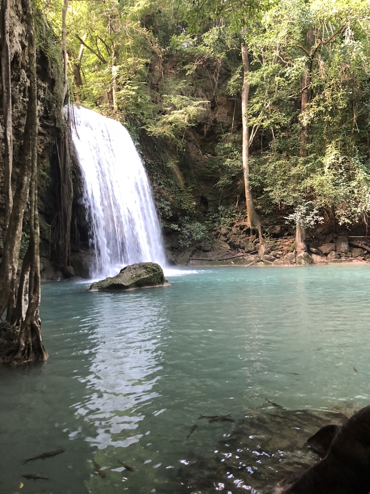 Cascade tombant dans un bassin limpide entouré de forêt.