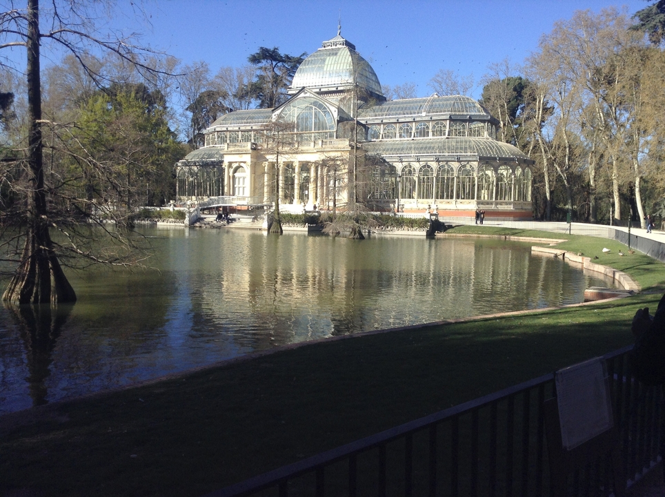 Glass pavilion in a park with a reflecting pond.