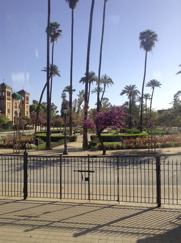 Beau parc paysager avec des palmiers et des fleurs en fleurs.