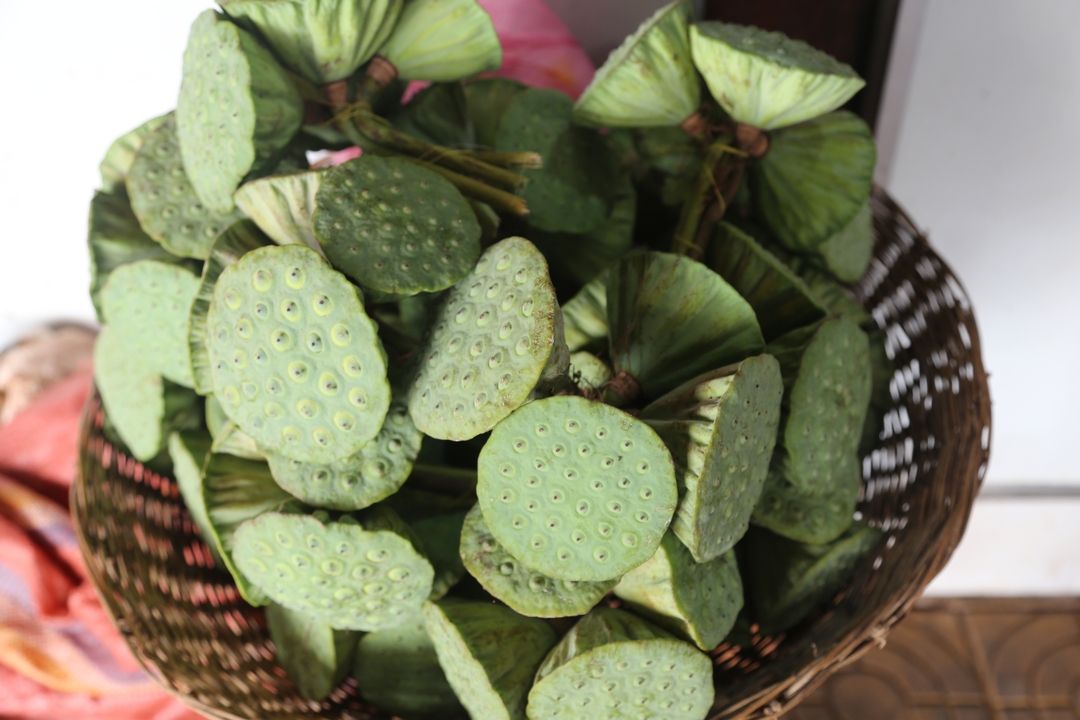Panier de gousses de lotus vertes.