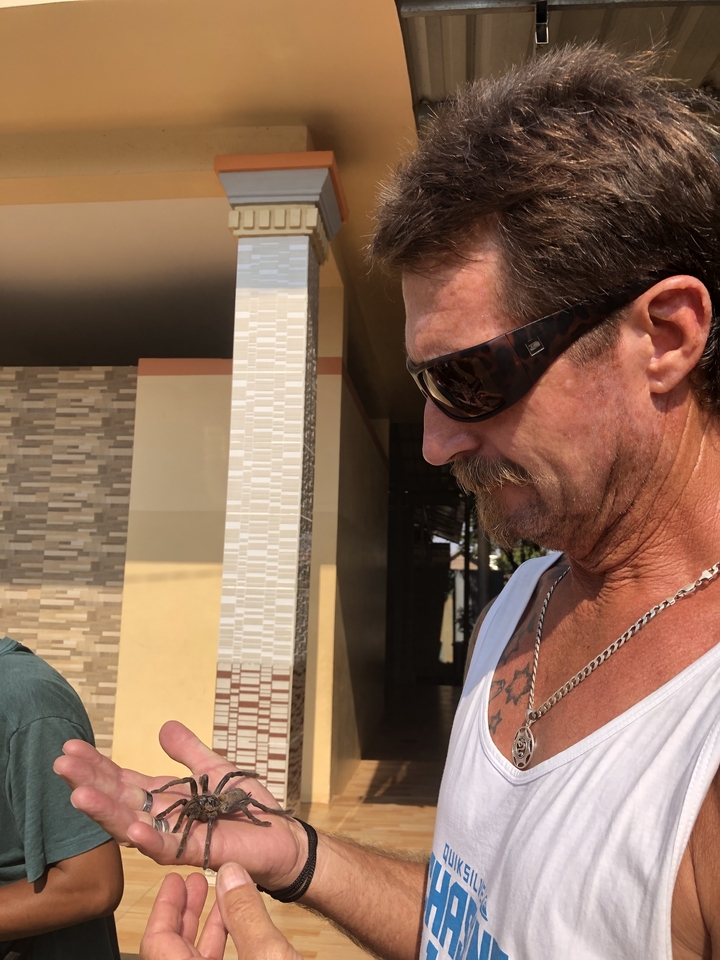 Gros plan d'une personne portant des lunettes de soleil.