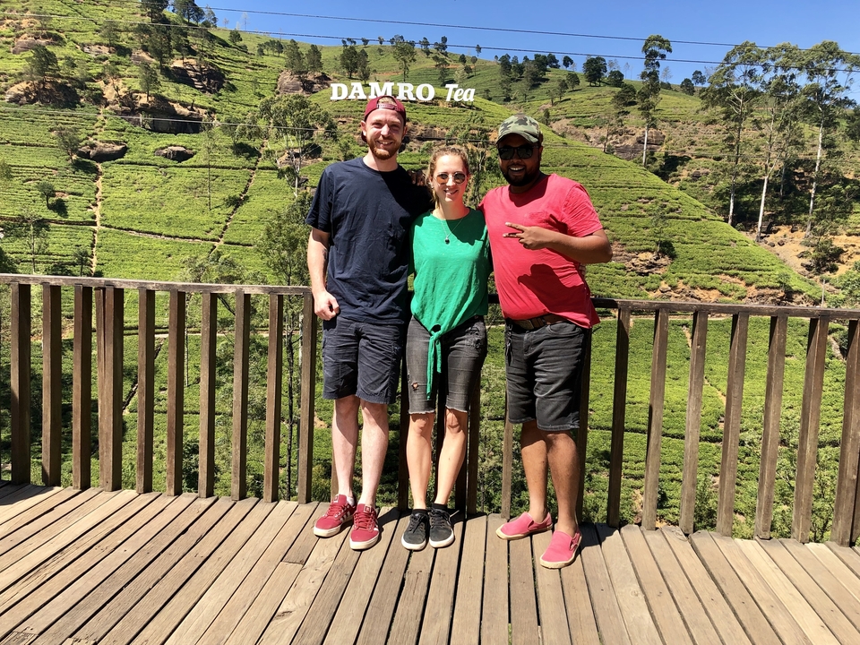 Des gens posent avec de luxuriantes plantations de thé en arrière-plan.