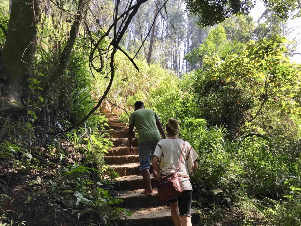 Deux personnes qui font de la randonnée sur un sentier forestier.