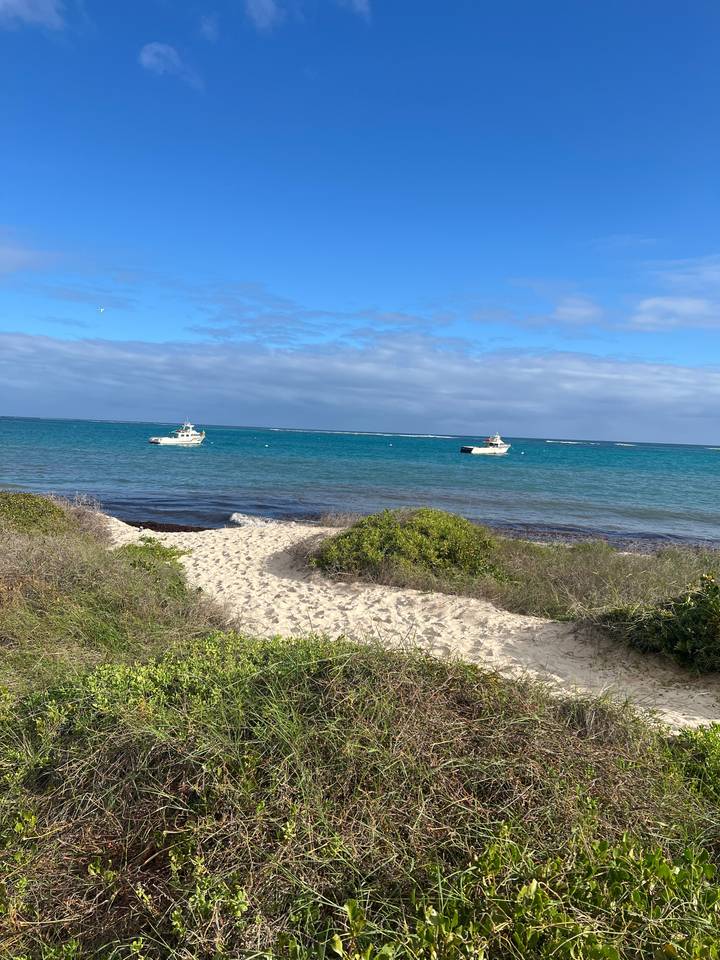 Scène de bord de mer avec des bateaux dans l'eau.