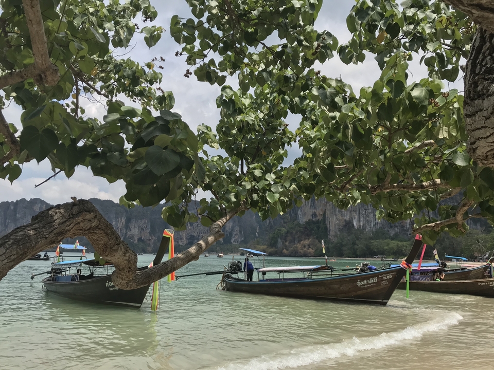 Des bateaux à longue queue amarrés sous des arbres luxuriants près d'une plage.