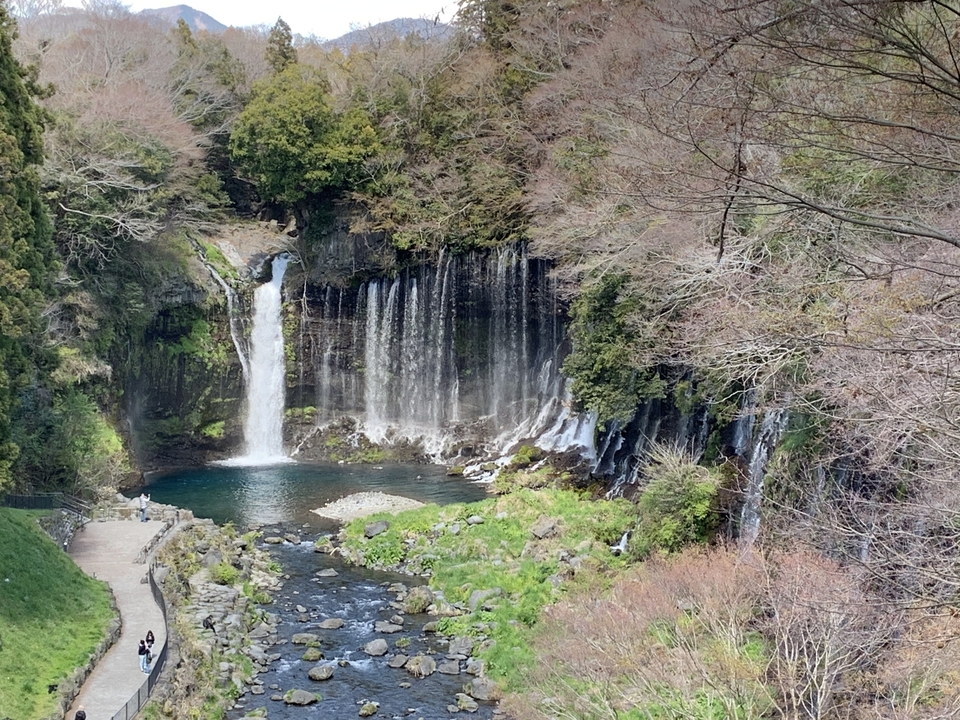 Scenic waterfall in a green forested area