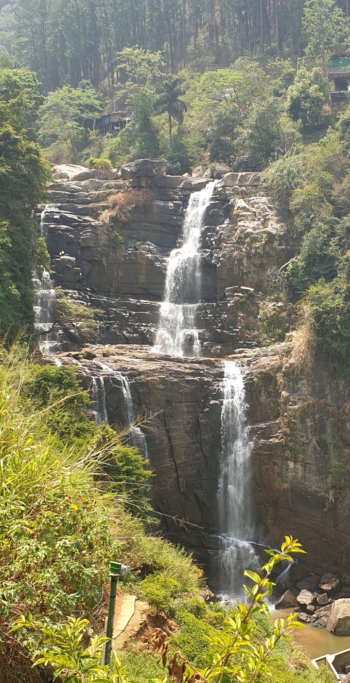 Cascade qui dévale les rochers dans une zone boisée.