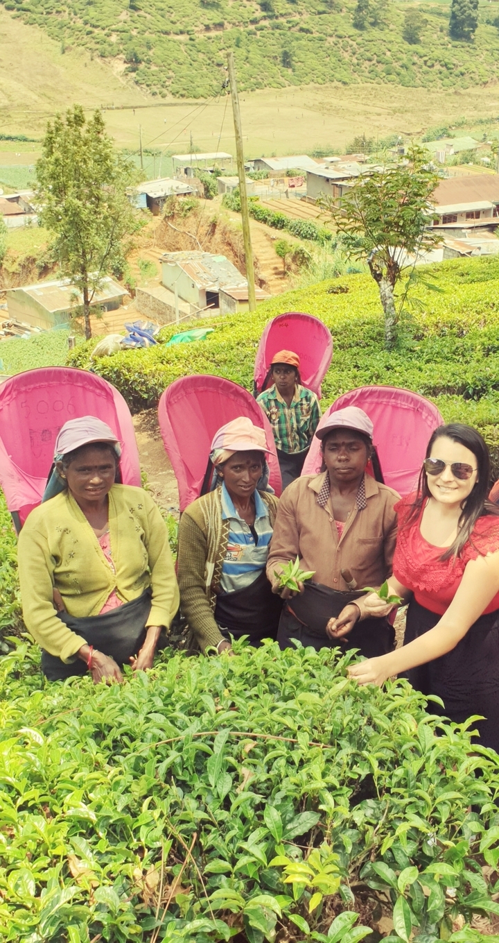 Touriste posant avec des ouvriers de plantation de thé au Sri Lanka.