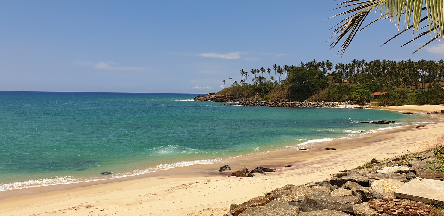 Une plage immaculée avec des eaux turquoise et des palmiers.