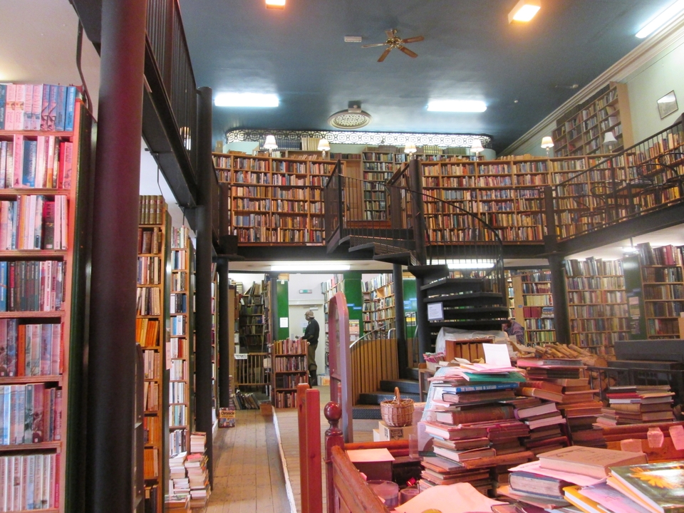Intérieur douillet de librairie avec étagères en bois.