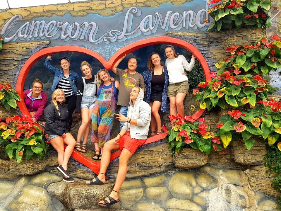 Groupe à l'intérieur d'un cadre en forme de cœur avec des plantes.
