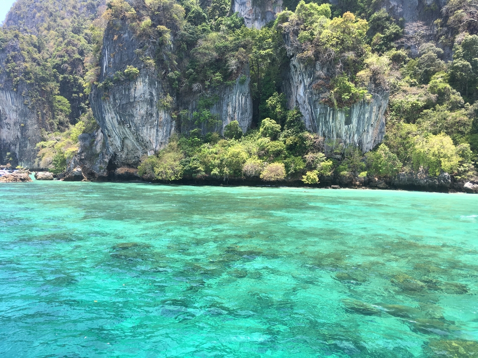 Clear turquoise water with lush vegetation on the shore.