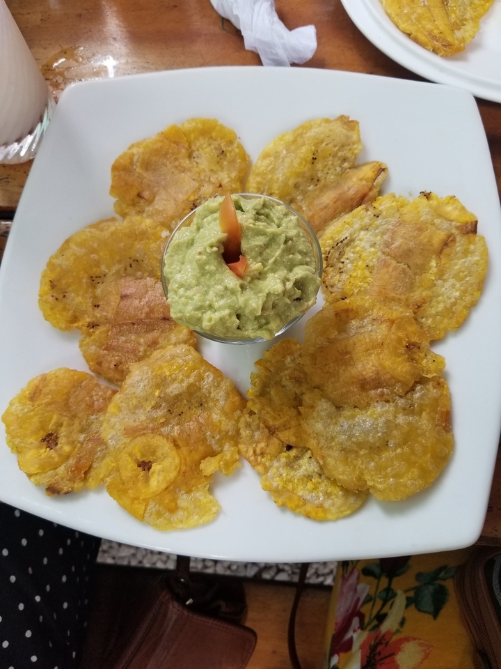 A plate of tostones with guacamole.