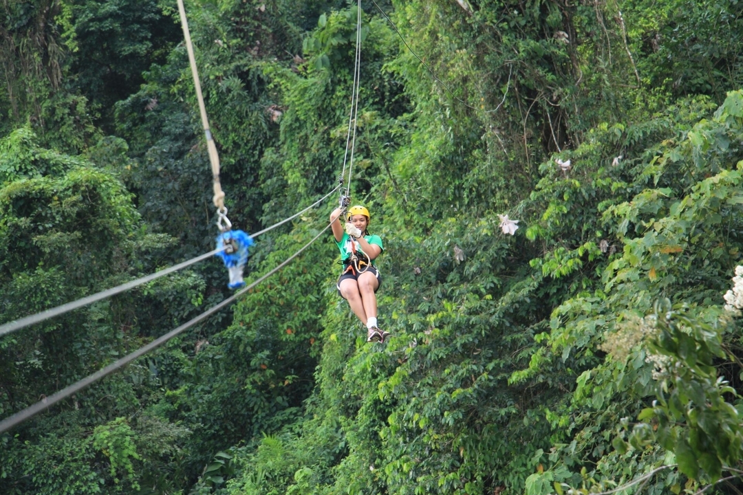 Une personne qui fait de la tyrolienne à travers la forêt.