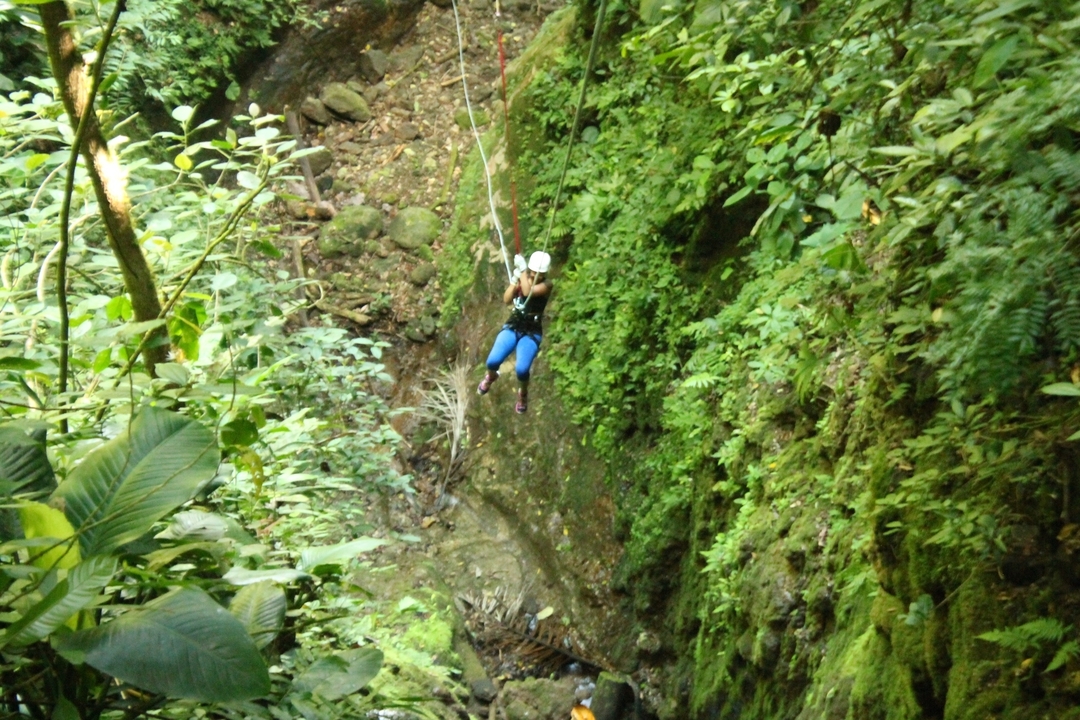 Une personne faisant de la tyrolienne au-dessus de la végétation verte.