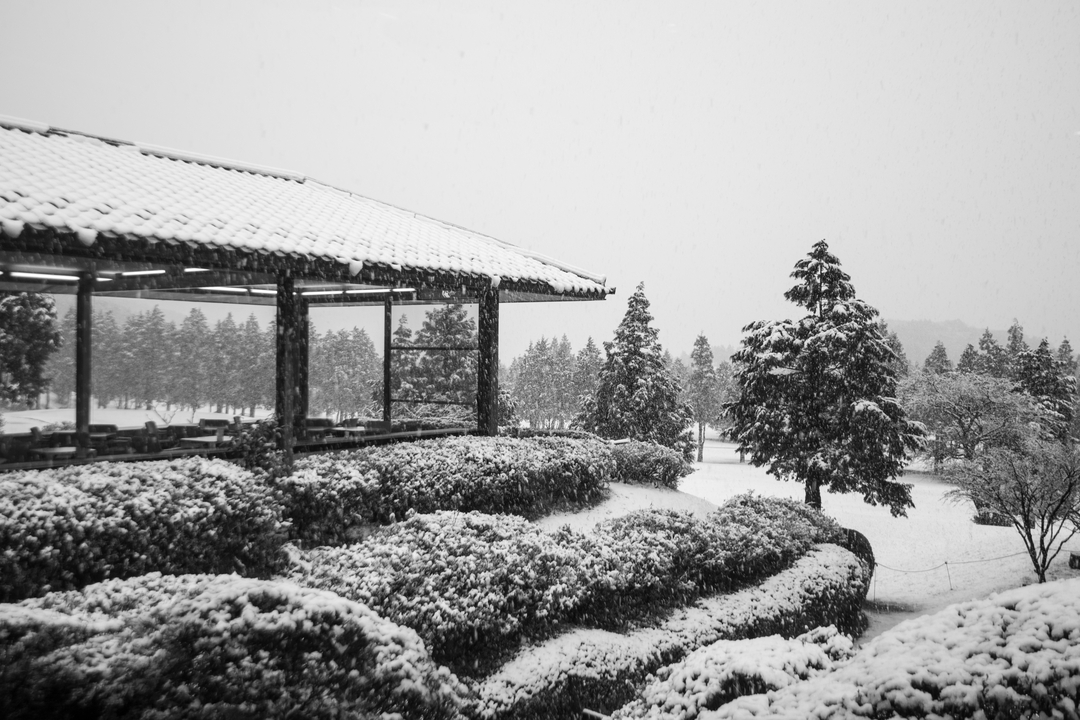 Paysage enneigé avec des arbres et une structure.