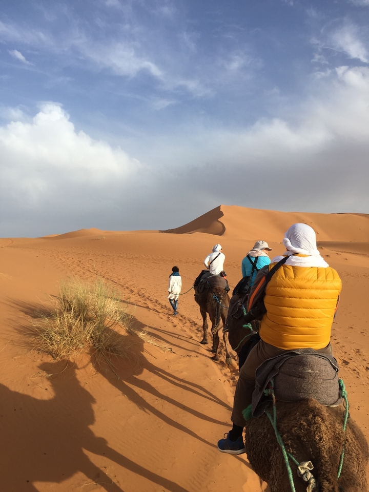 Des personnes faisant du trekking à dos de chameau à travers les dunes du désert au Maroc.