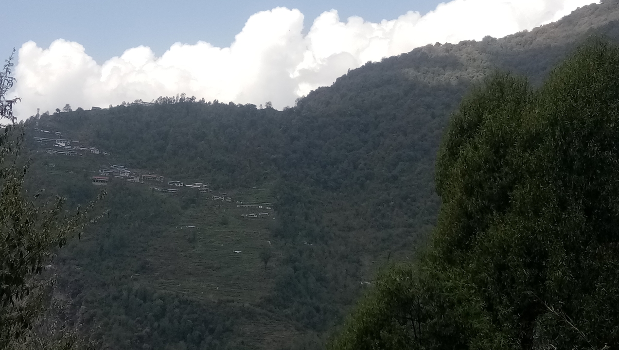 Paysage de colline avec zones boisées.