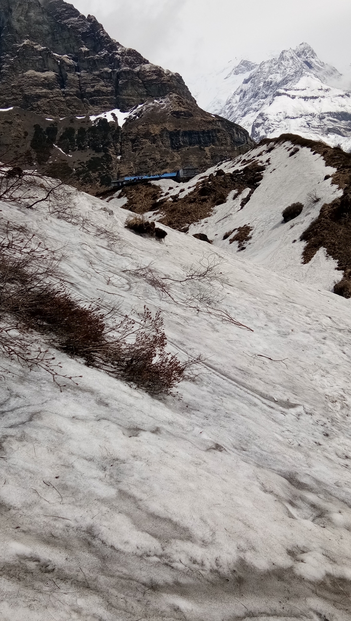 Terrain rocheux enneigé avec un peu de végétation.
