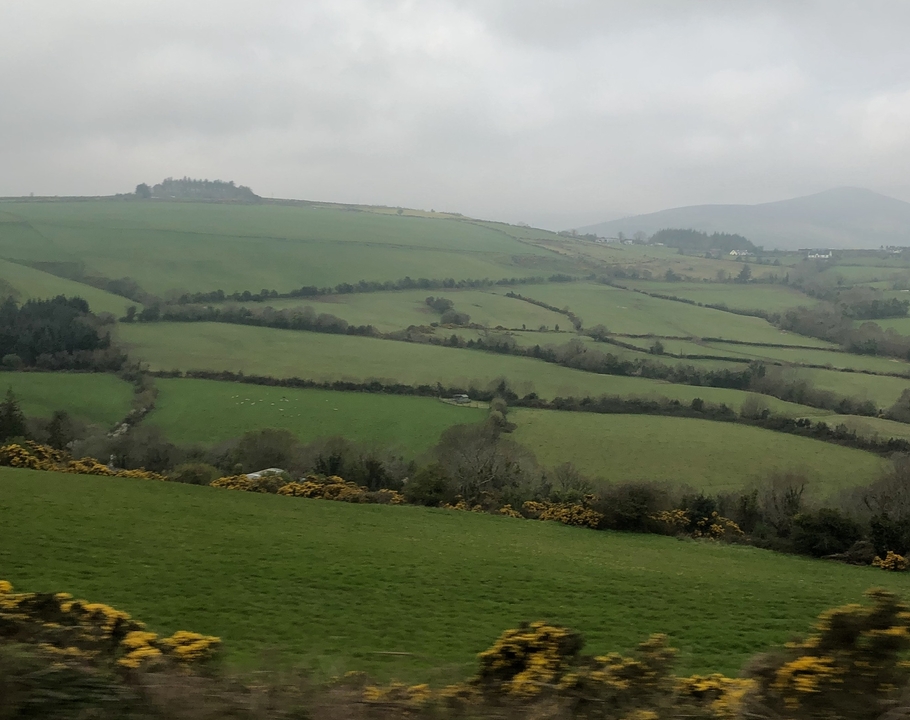 Collines verdoyantes avec des haies et des montagnes au loin.