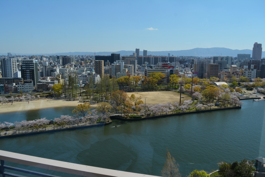 Paysage urbain avec des cerisiers en fleurs au bord d'une rivière, grands immeubles en arrière-plan.
