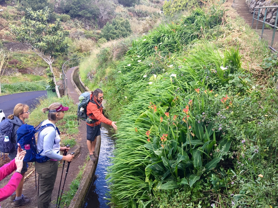 Randonneurs explorant un sentier avec des fleurs colorées sur le côté.