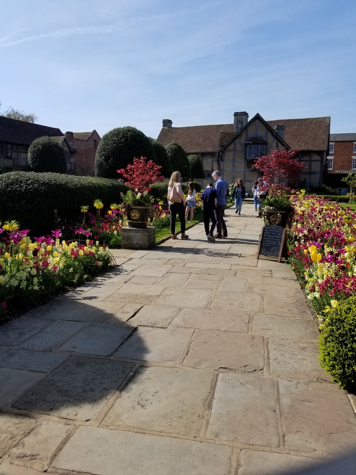 Sentier bordé de fleurs colorées dans un cadre de jardin.