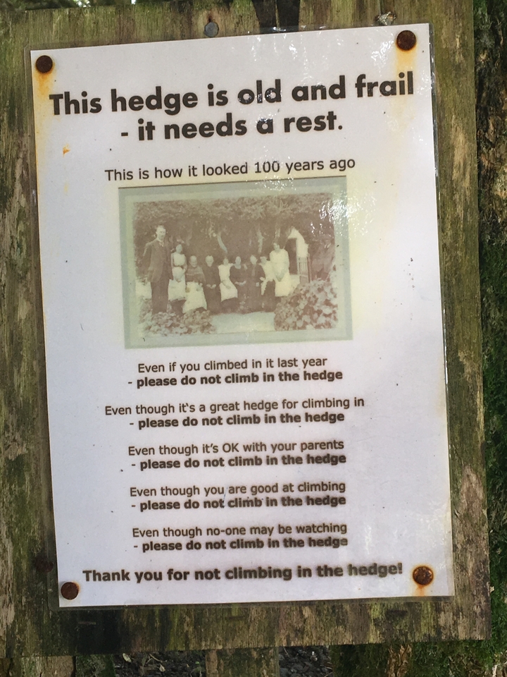 Here's a French translation for a humorous sign about not climbing in a hedge:
**"Défense de grimper dans la haie - Les épines ne font pas de prisonniers !"**
Or alternatively:
**"Escalade de haie interdite - Votre pantalon nous remercie d'avance"**
Both capture the humorous tone while clearly conveying the "no climbing" message. The first one jokes about thorns taking no prisoners, while the second thanks people in advance for sparing their pants.