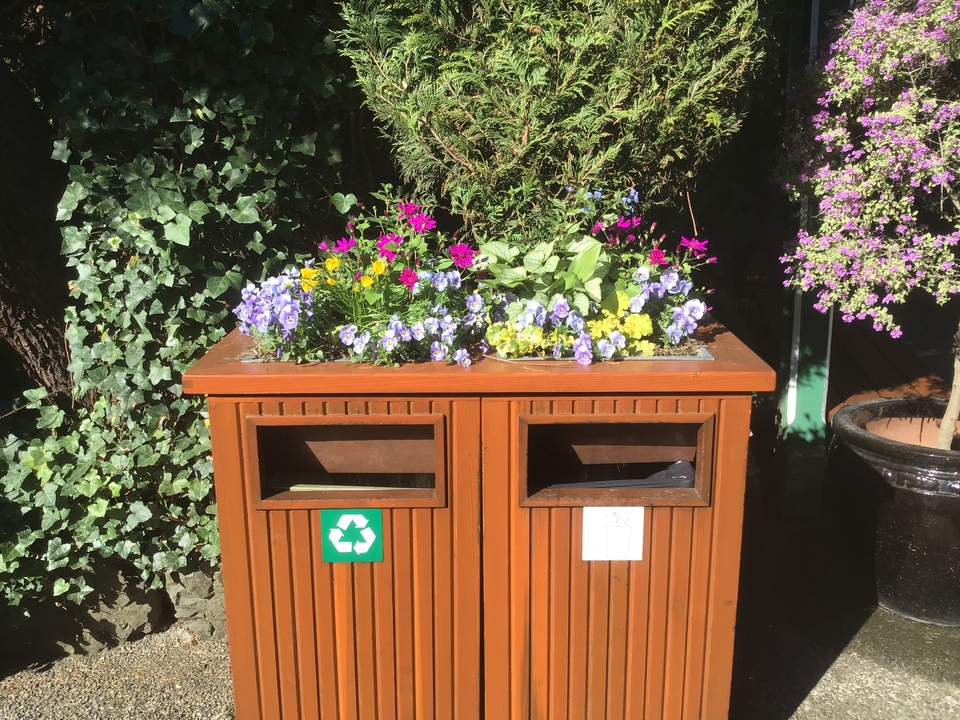 Bacs de recyclage et poubelles avec des fleurs et du lierre dans un jardin.
