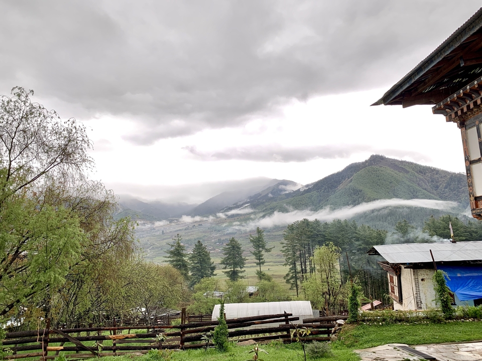 Montagnes et arbres couverts de brouillard avec un ciel nuageux.