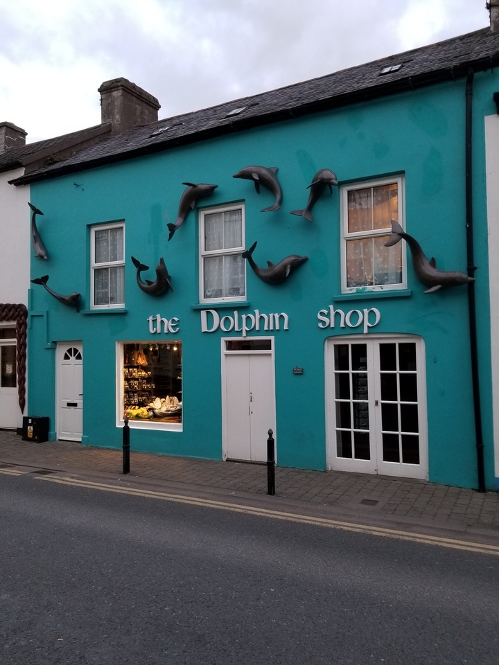 Storefront with dolphin decorations and lit display window.