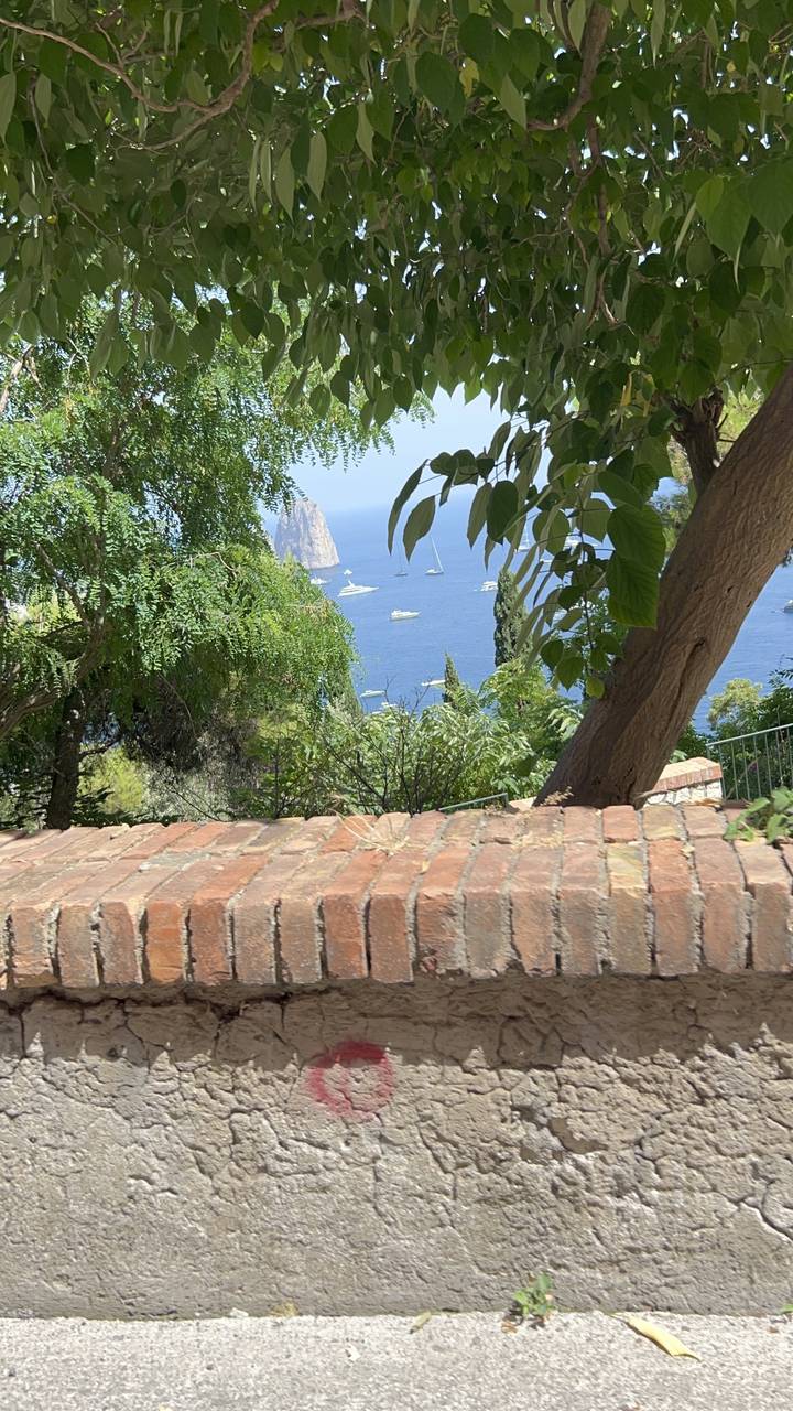 Vue sur la mer à travers un jardin.