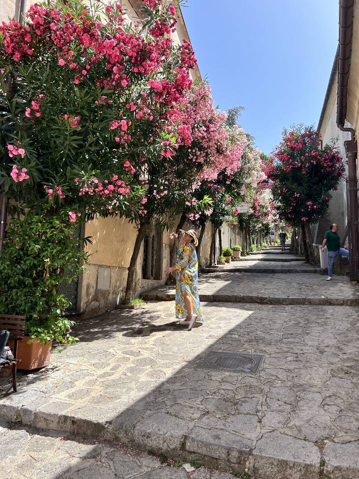Personne dans une allée de jardin avec de luxuriantes fleurs roses.