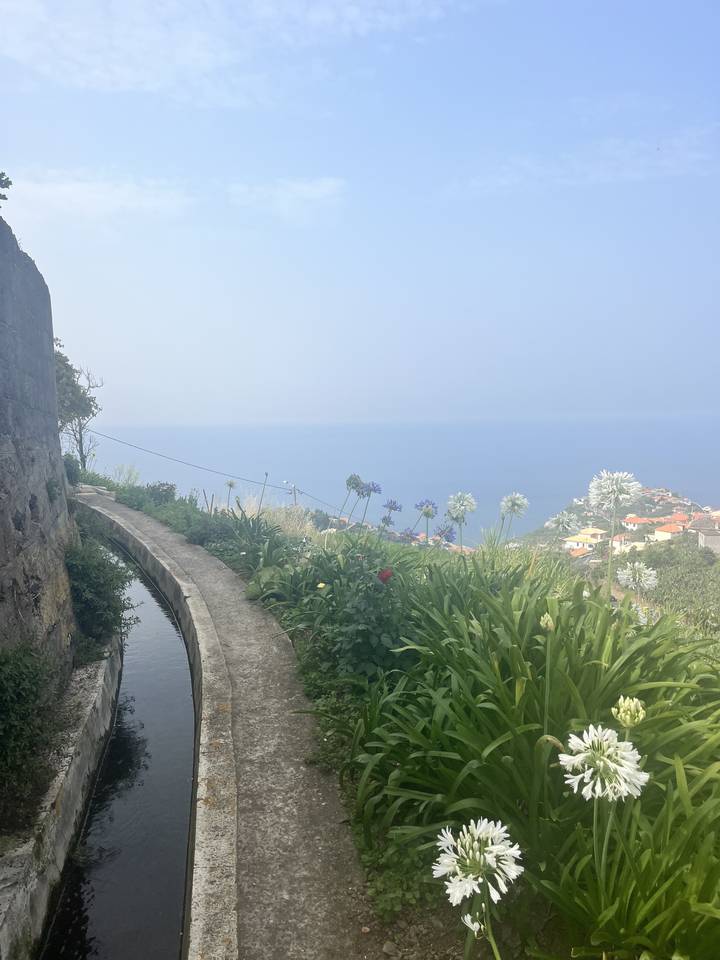 Une vue pittoresque de la mer avec des fleurs le long d'un sentier.