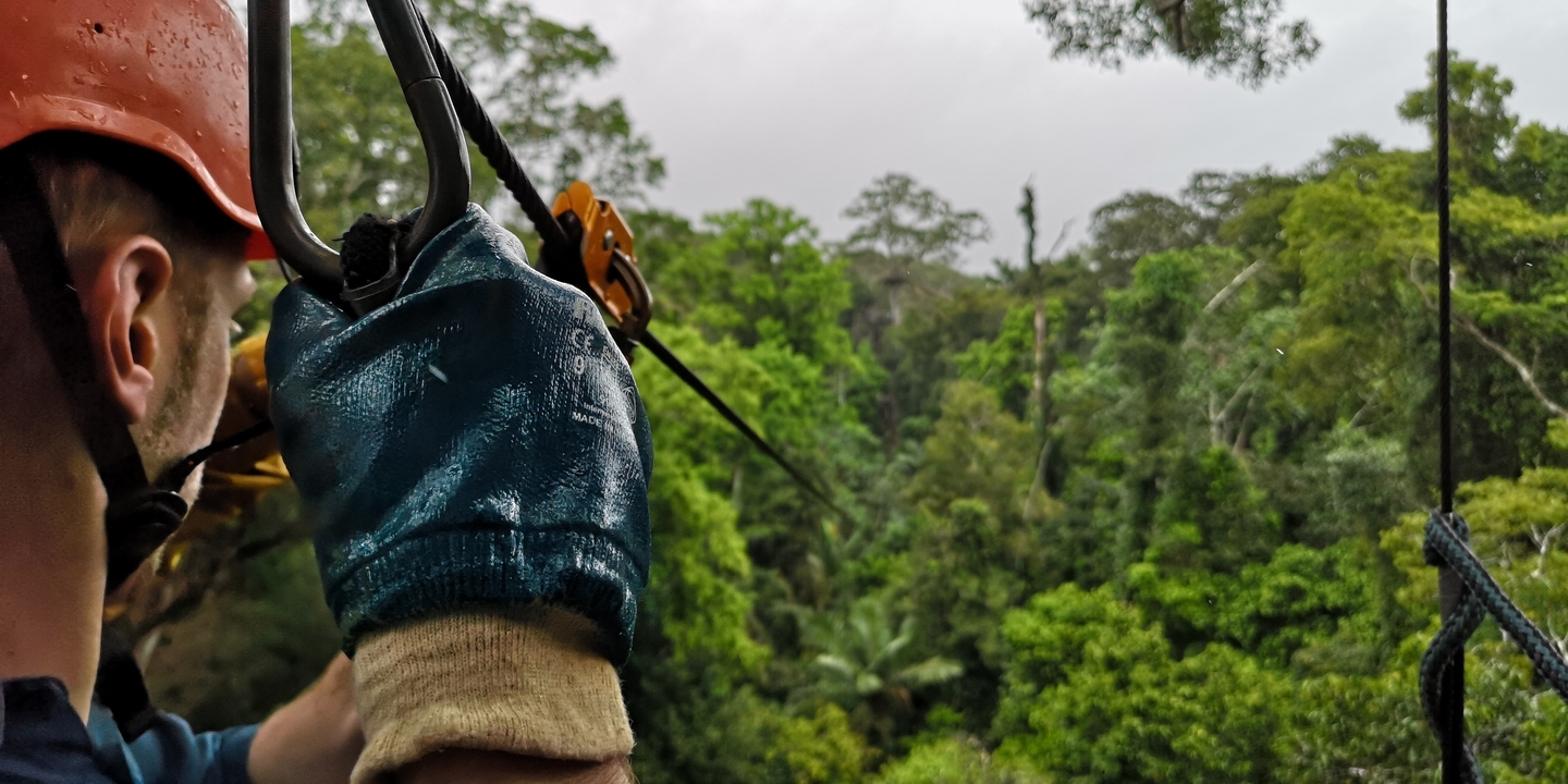 Personne faisant de la tyrolienne à travers une forêt verdoyante luxuriante.