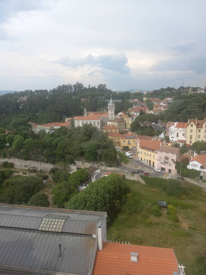 Vue panoramique d'une ville avec des bâtiments historiques et de la verdure.