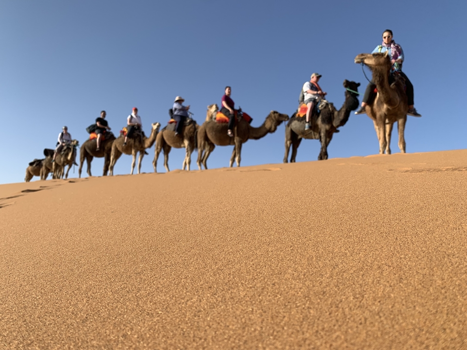 Caravane de chameaux sur une dune de sable.