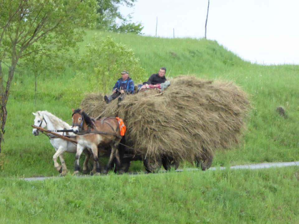 Des gens sur une charrette à foin tirée par un cheval.