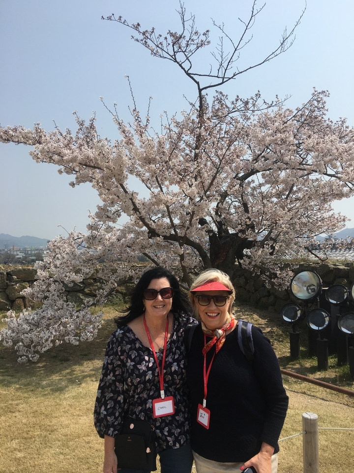 Deux femmes posant devant des fleurs de cerisier.
