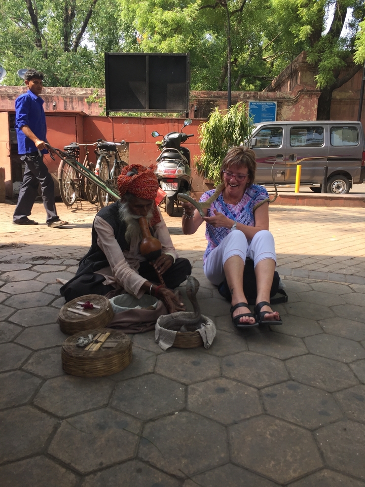 Personne interagissant avec un charmeur de serpents dans la rue.