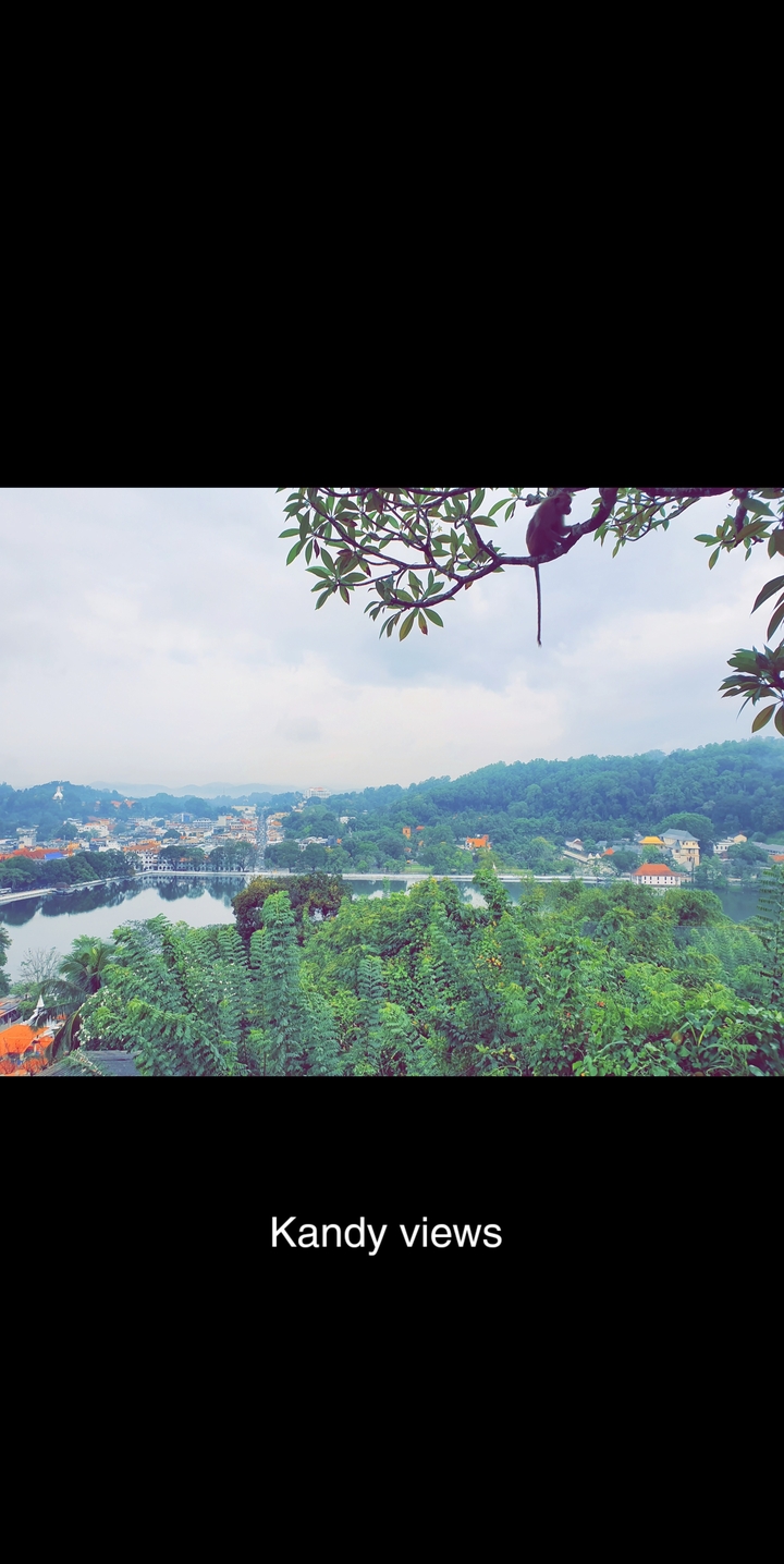 Vue panoramique d'une ville et de collines avec un lac au premier plan.