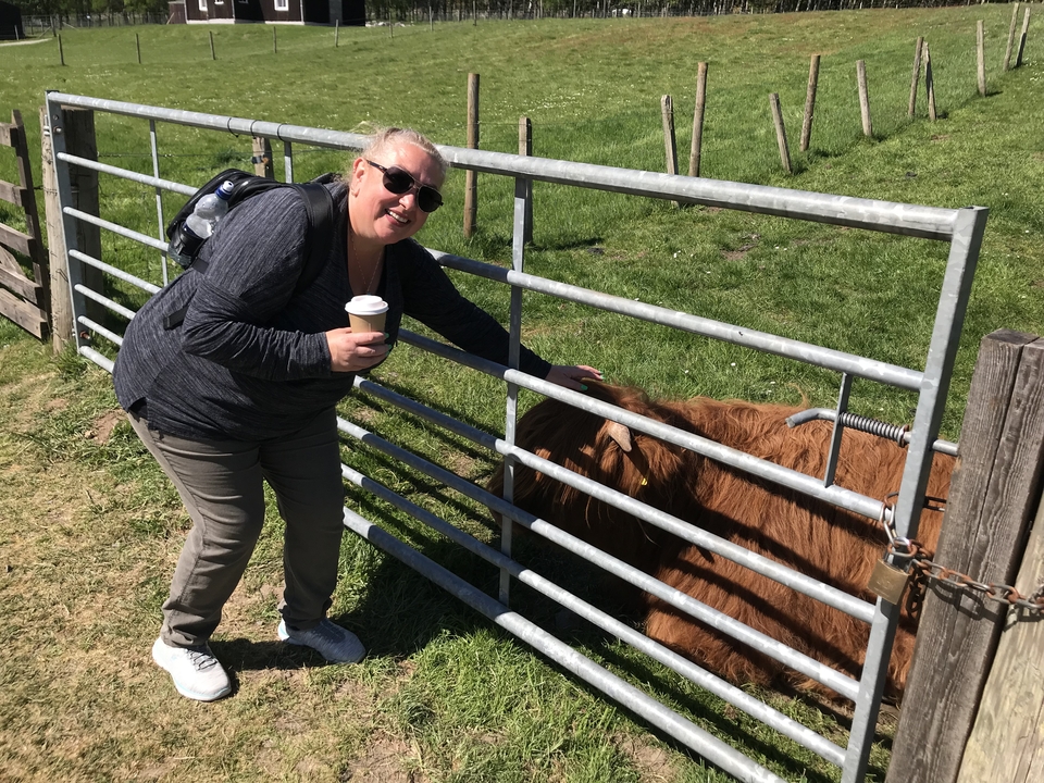 Femme caressant une vache à travers une clôture.