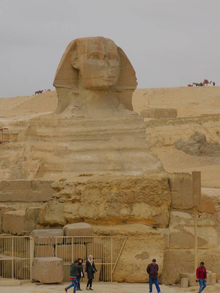 Side view of the Sphinx in Egypt with tourists nearby.