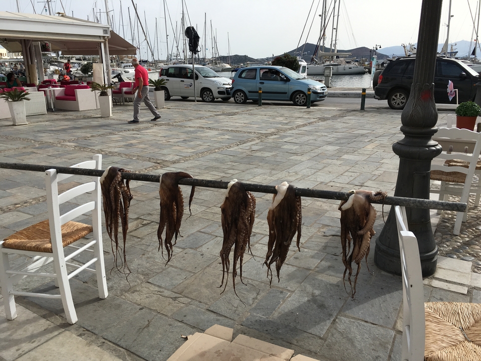 "Poulpes séchant suspendus dans une zone portuaire."
Alternative translation: "Pieuvres en train de sécher suspendues dans un port."