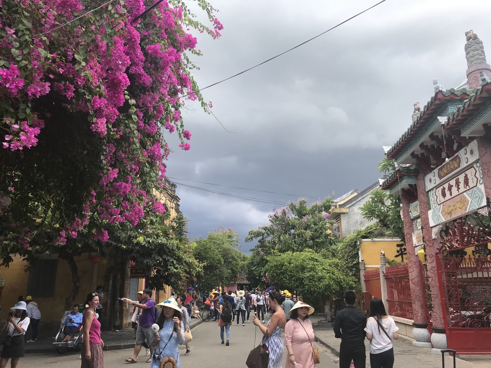 Rue animée avec des arbres en fleurs et une architecture historique.