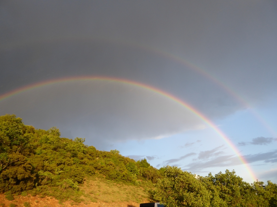 Un arc-en-ciel double brillant et éclatant au-dessus des arbres verts.