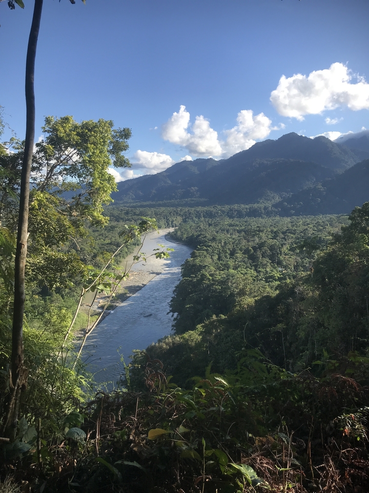 Large rivière coulant à travers une forêt luxuriante avec des montagnes en arrière-plan.
